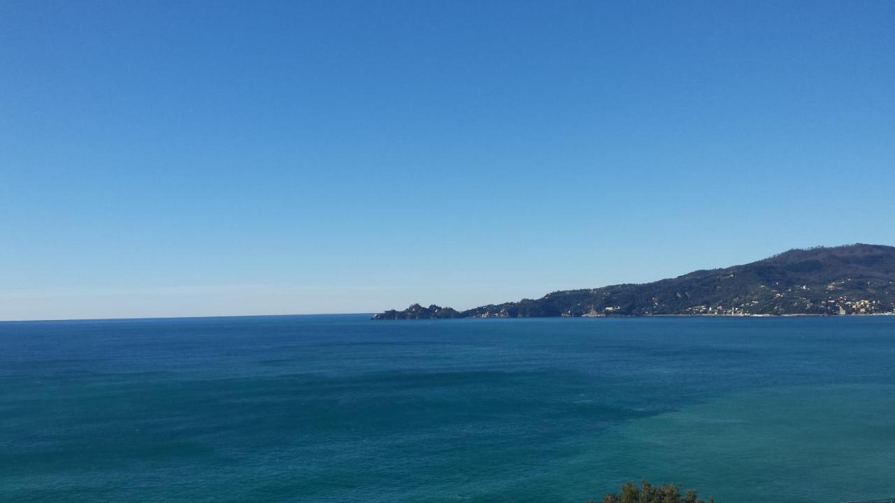 Vista Mare E Portofino - Sea And Portofino View Lägenhet Zoagli Exteriör bild